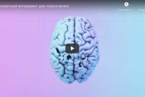 Секретный ингредиент для тонуса мозга (видео)